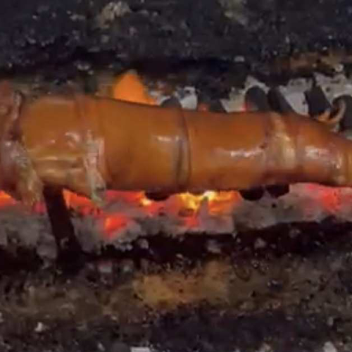 LECHON DE LECHE (Pre-order for at least 3 days before Pick-Up or Delivery Date)